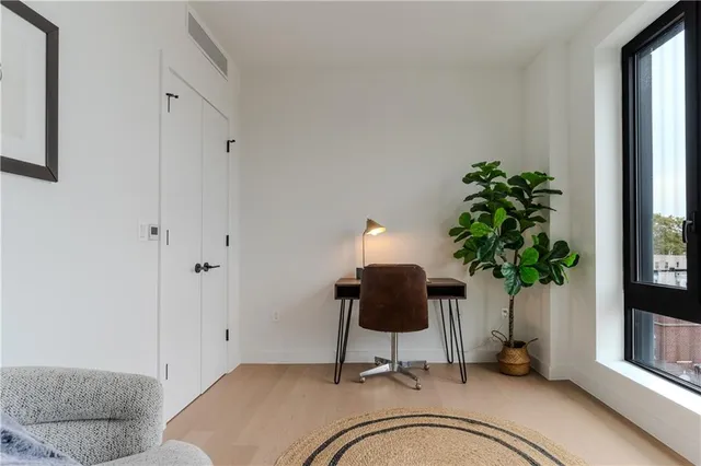 a living room with furniture and potted plant