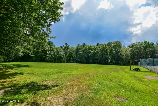 a view of a field with a tree in it
