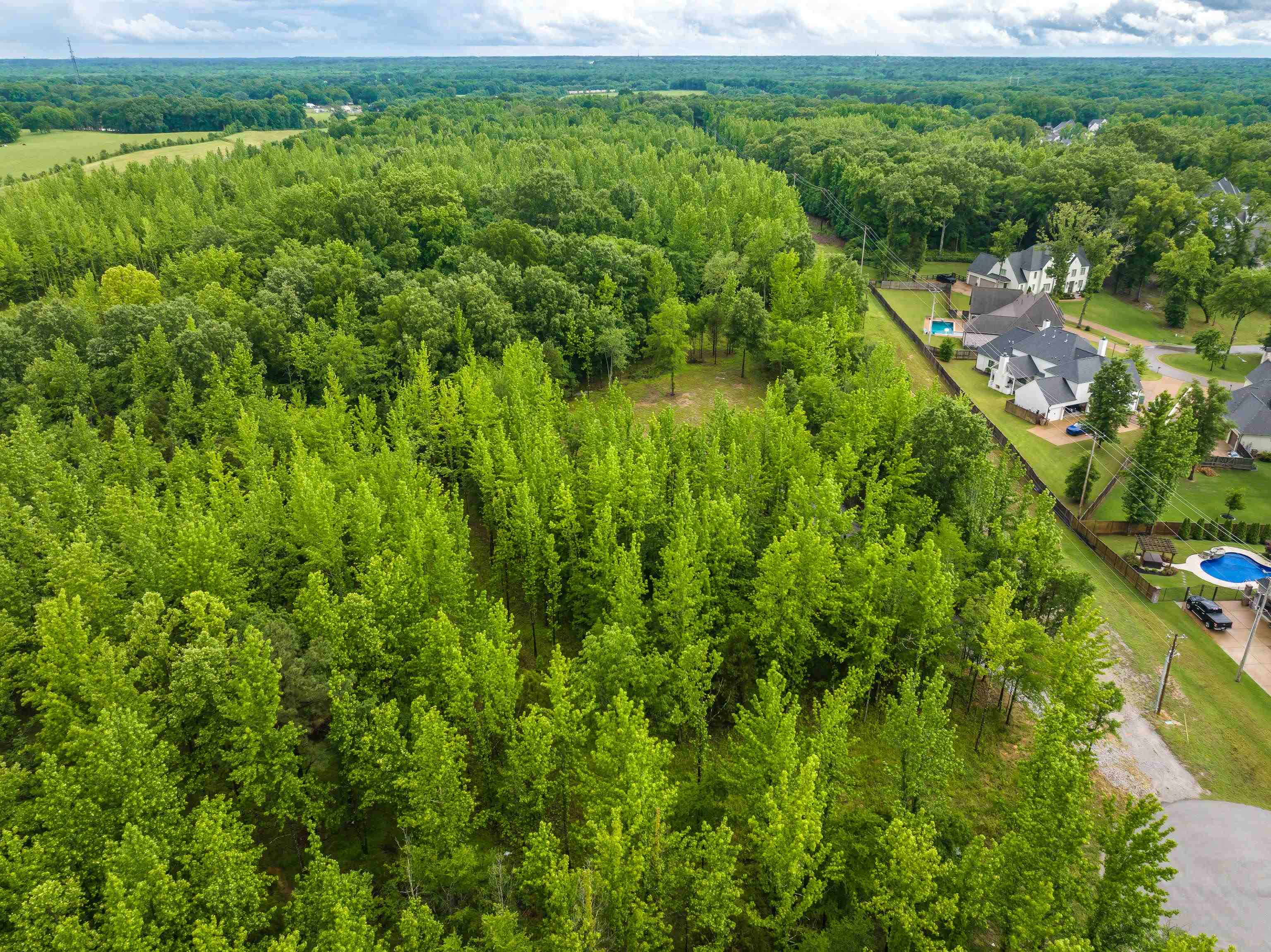 12800 Mags Lane Collierville, TN 38017 - Photo 2 of 16