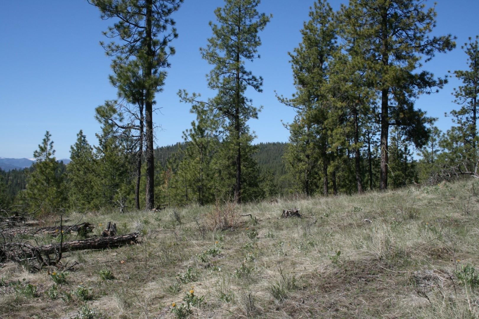 Xx Coyote Canyon Road Fruitland, WA 99129 - Photo 2 of 5