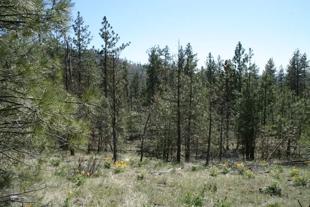 $49,000 | Xx Coyote Canyon Road, Fruitland, WA 99129