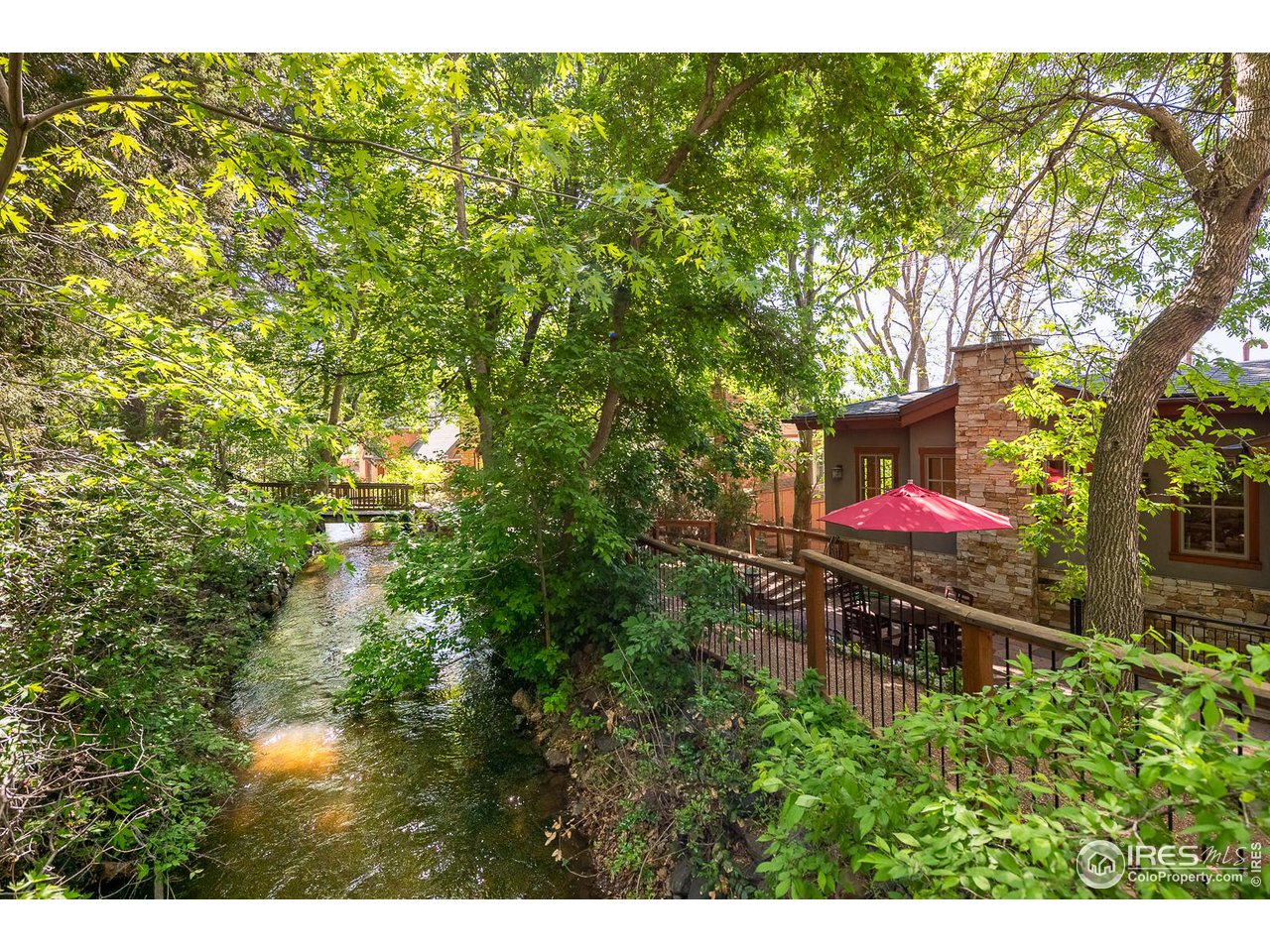 520 Spruce Street Boulder, CO 80302 - Photo 4 of 40 a view of a yard with plants