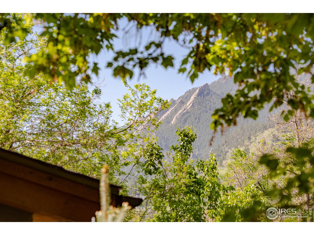 520 Spruce Street Boulder, CO 80302 - Photo 9 of 40 a view of a tree with a yard