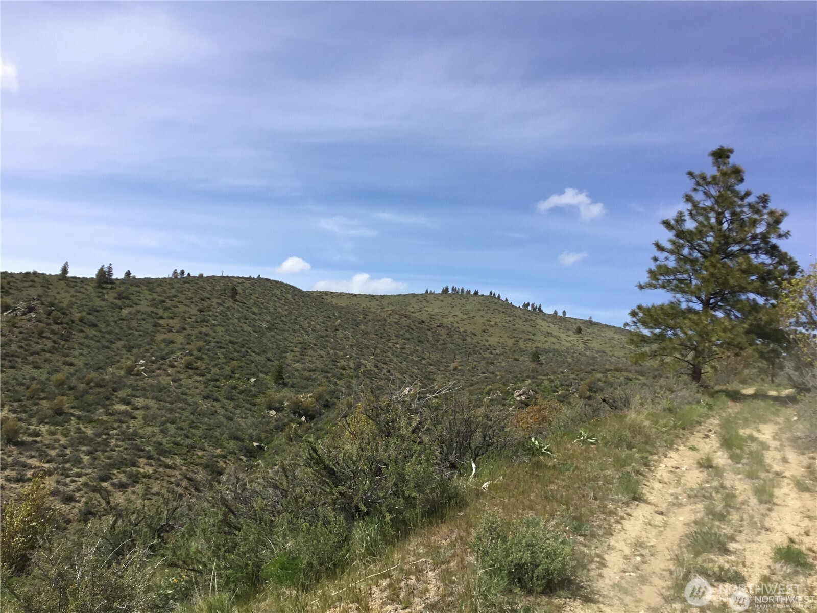 0 Ivan Morse Road Manson, WA 98831 - Photo 14 of 17 Gallery Image 14