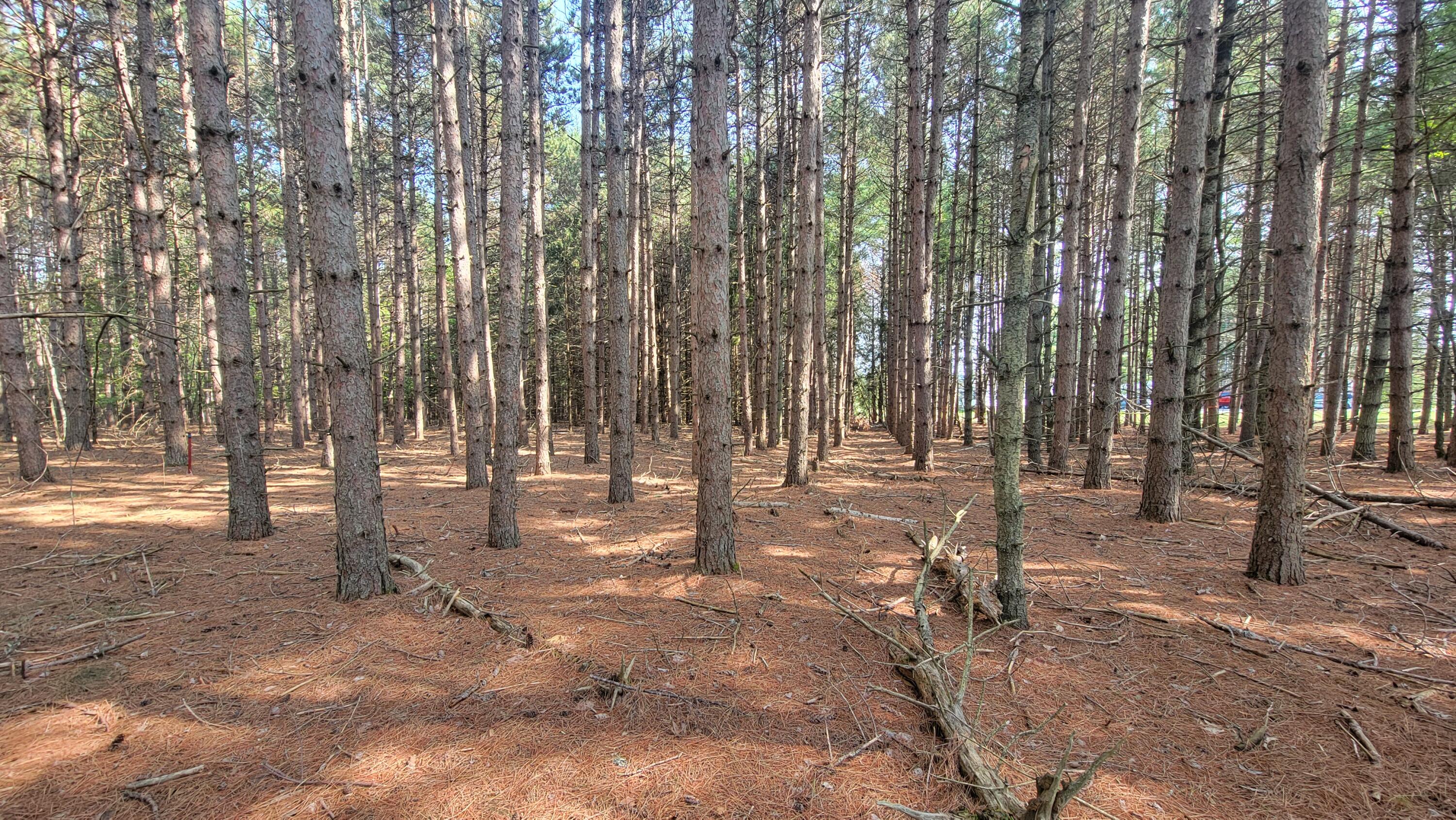 543 Bryant Road Hermon, ME 04401 - Photo 10 of 11 1 Acre Lot Bryant Road
