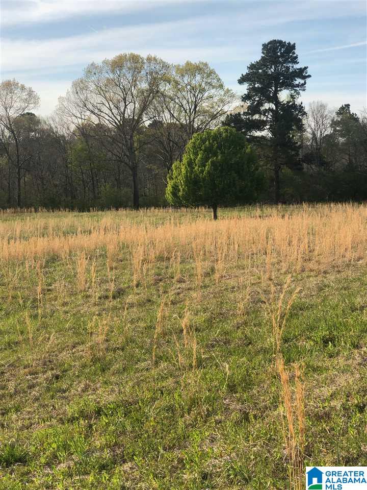 0 Deaver Walker Road, Unit 16 Cleveland, AL 35049 - Photo 1 of 11