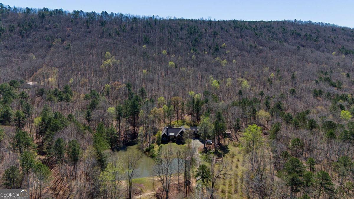 1059 Radio Springs Road Southwest Rome, GA 30165 - Photo 4 of 50