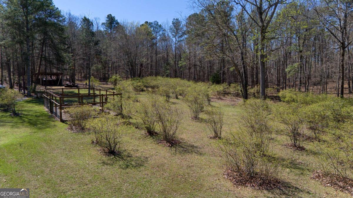 1059 Radio Springs Road Southwest Rome, GA 30165 - Photo 6 of 50