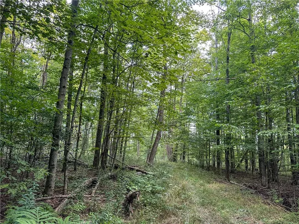 $39,900 | 8190 Billing Drive, Birdsall, NY 14804
