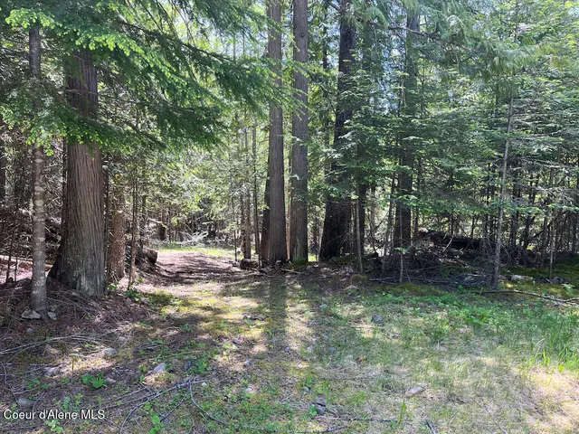 $398,000 | 191 Sunset View Lane, Hope, ID 83836