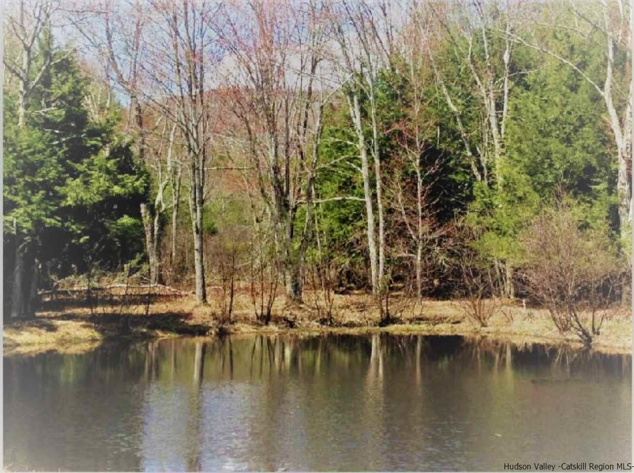 51 Vining Heights Road Windham, NY 12496 - Photo 2 of 6 Photo 17