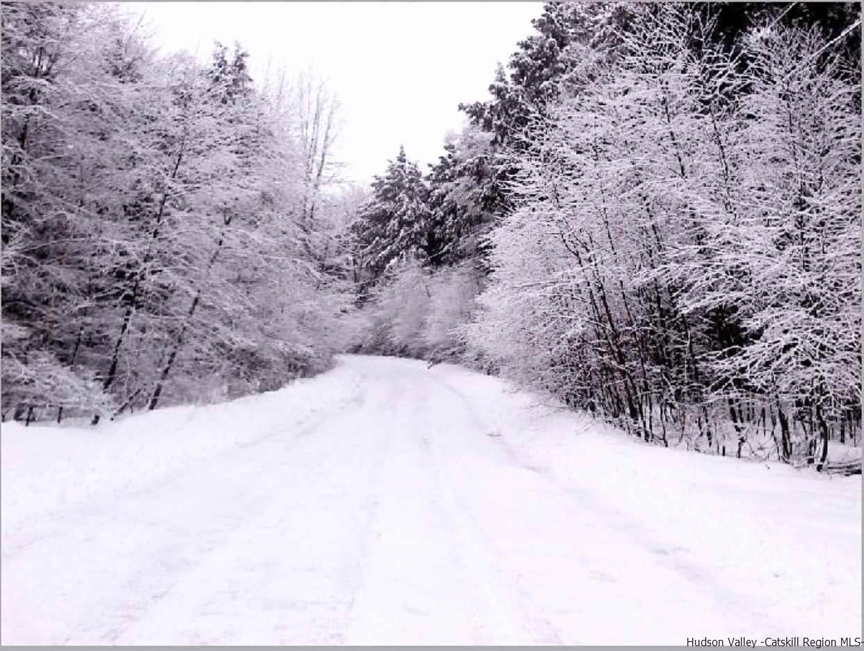 51 Vining Heights Road Windham, NY 12496 - Photo 5 of 6 Photo 22