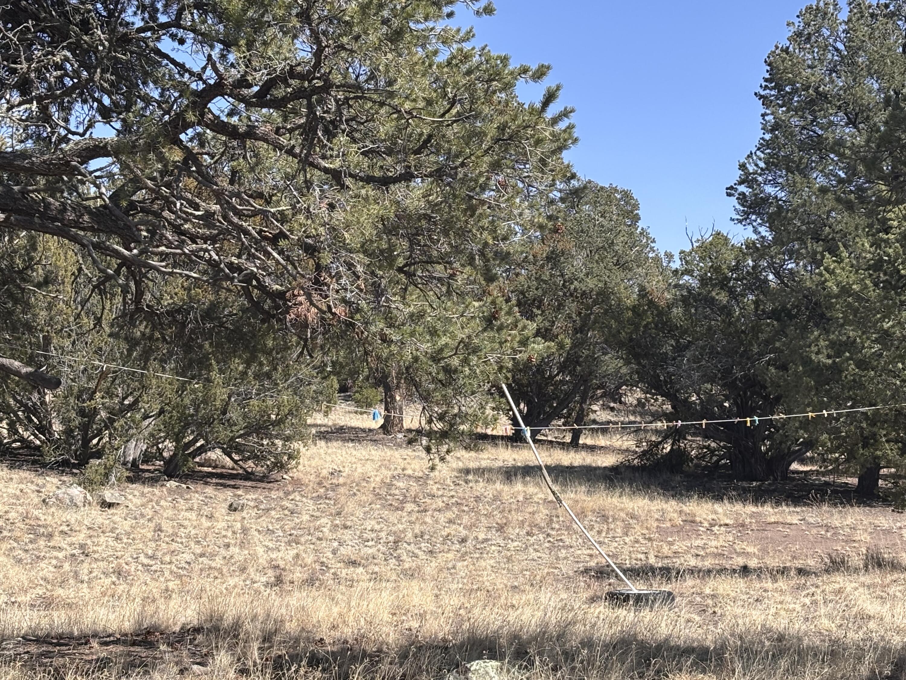 233 Turquoise Trail Datil, NM 87821 - Photo 37 of 46 Gallery Image 37