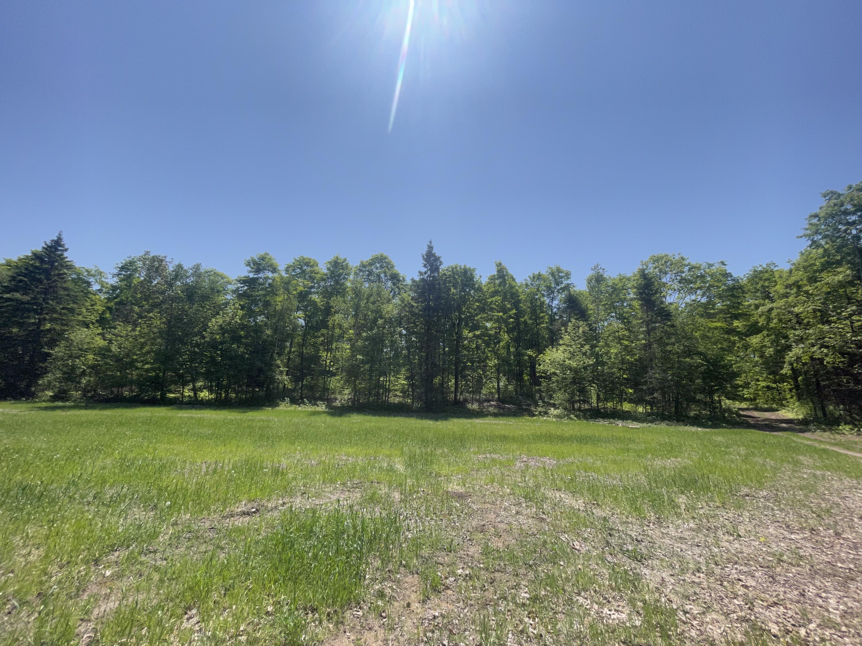 5716 East Simmons Road Hessel, MI 49745 - Photo 1 of 50 IMG_4901