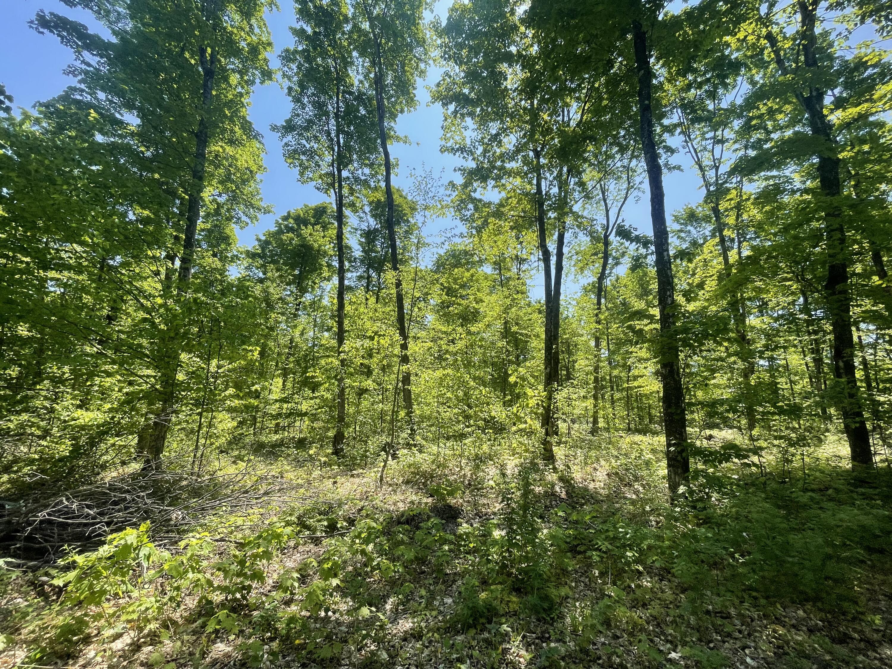 5716 East Simmons Road Hessel, MI 49745 - Photo 11 of 50 IMG_4889