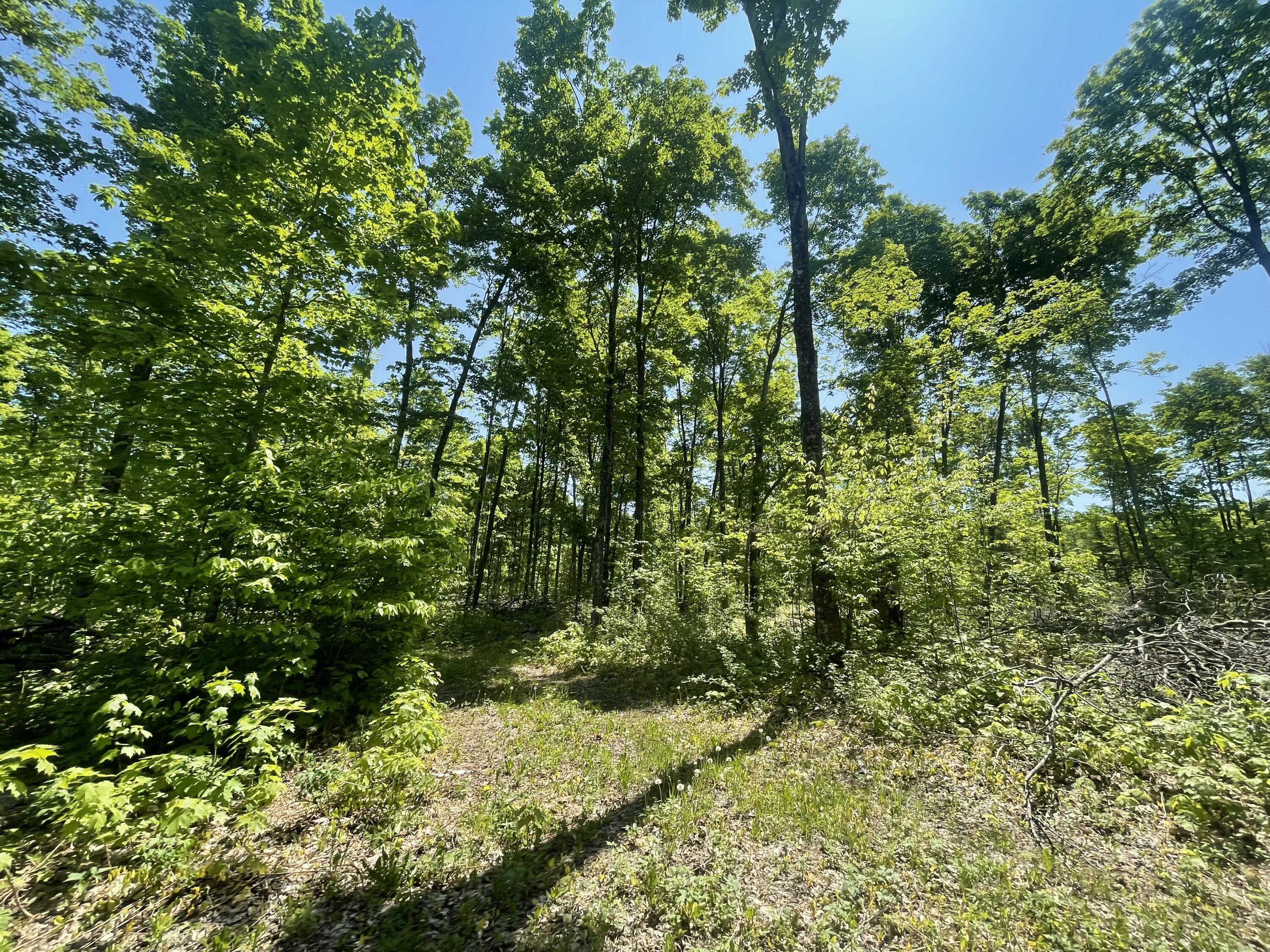 5716 East Simmons Road Hessel, MI 49745 - Photo 12 of 50 IMG_4890