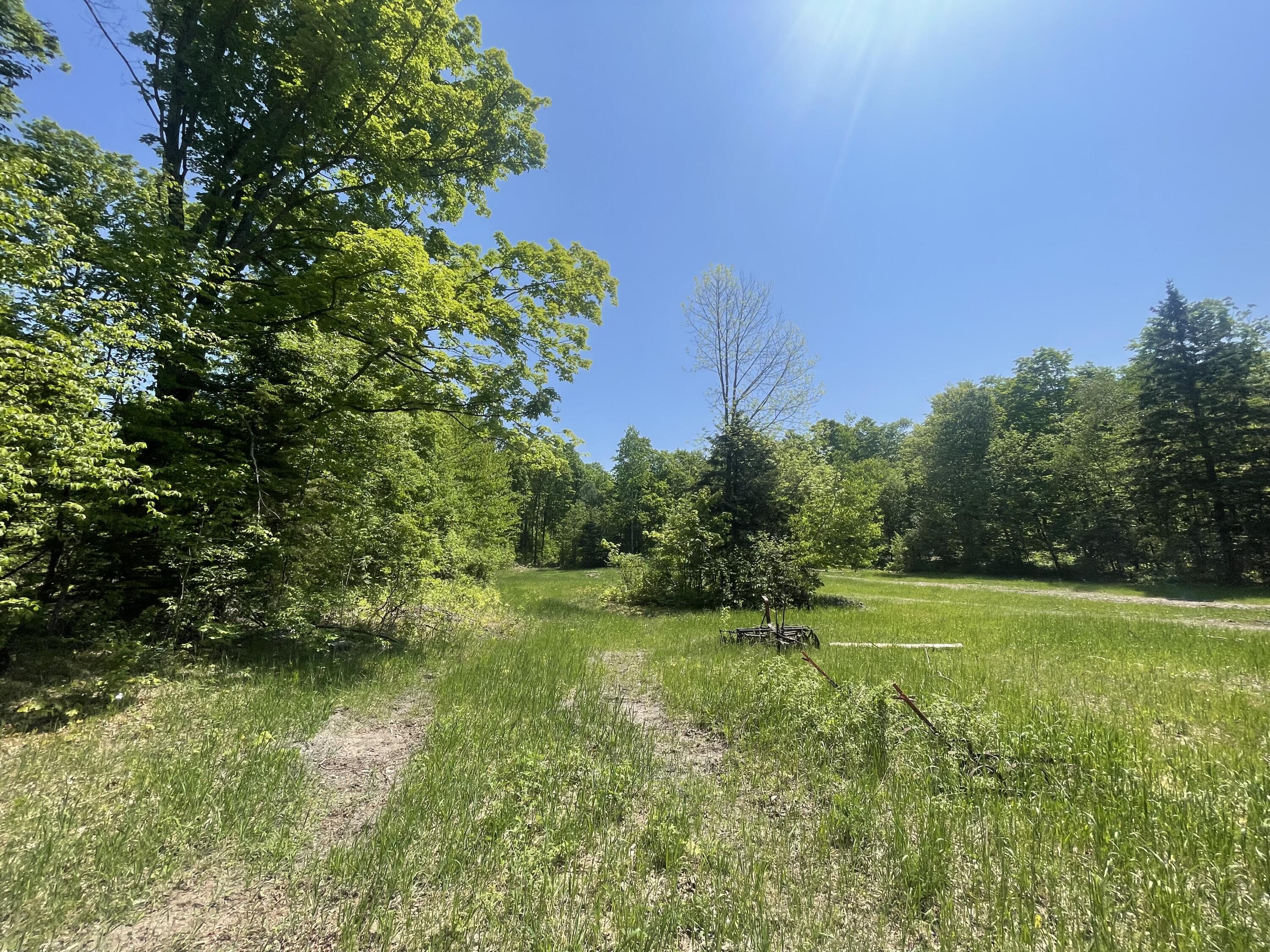 5716 East Simmons Road Hessel, MI 49745 - Photo 13 of 50 IMG_4893