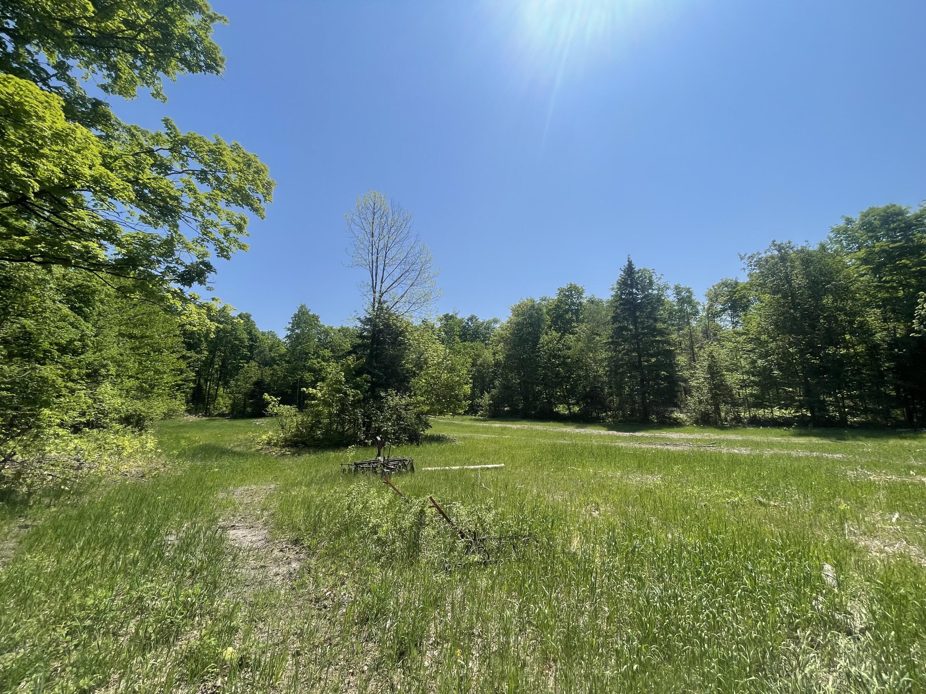 5716 East Simmons Road Hessel, MI 49745 - Photo 14 of 50 IMG_4894