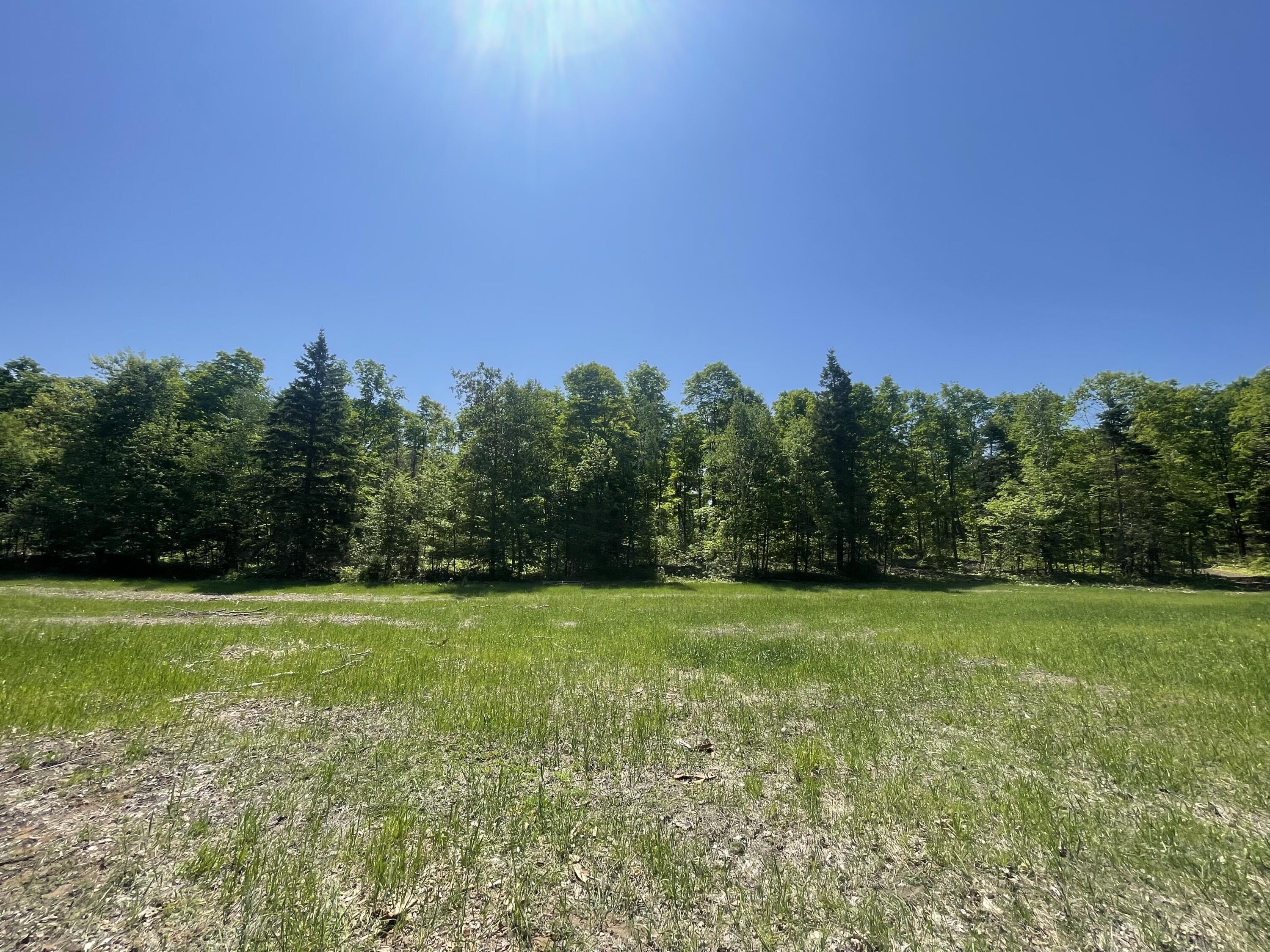 5716 East Simmons Road Hessel, MI 49745 - Photo 15 of 50 IMG_4895