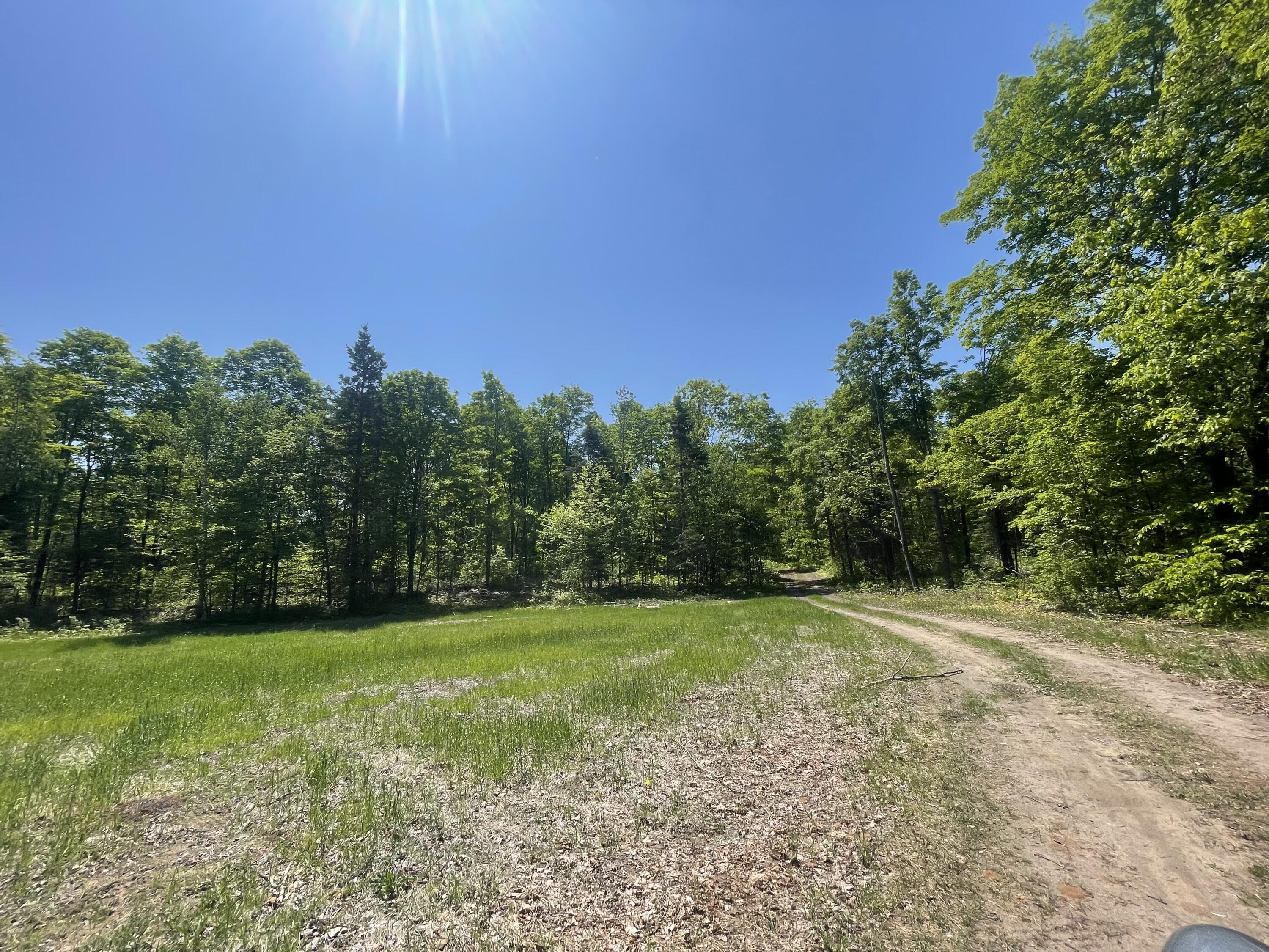 5716 East Simmons Road Hessel, MI 49745 - Photo 17 of 50 IMG_4902