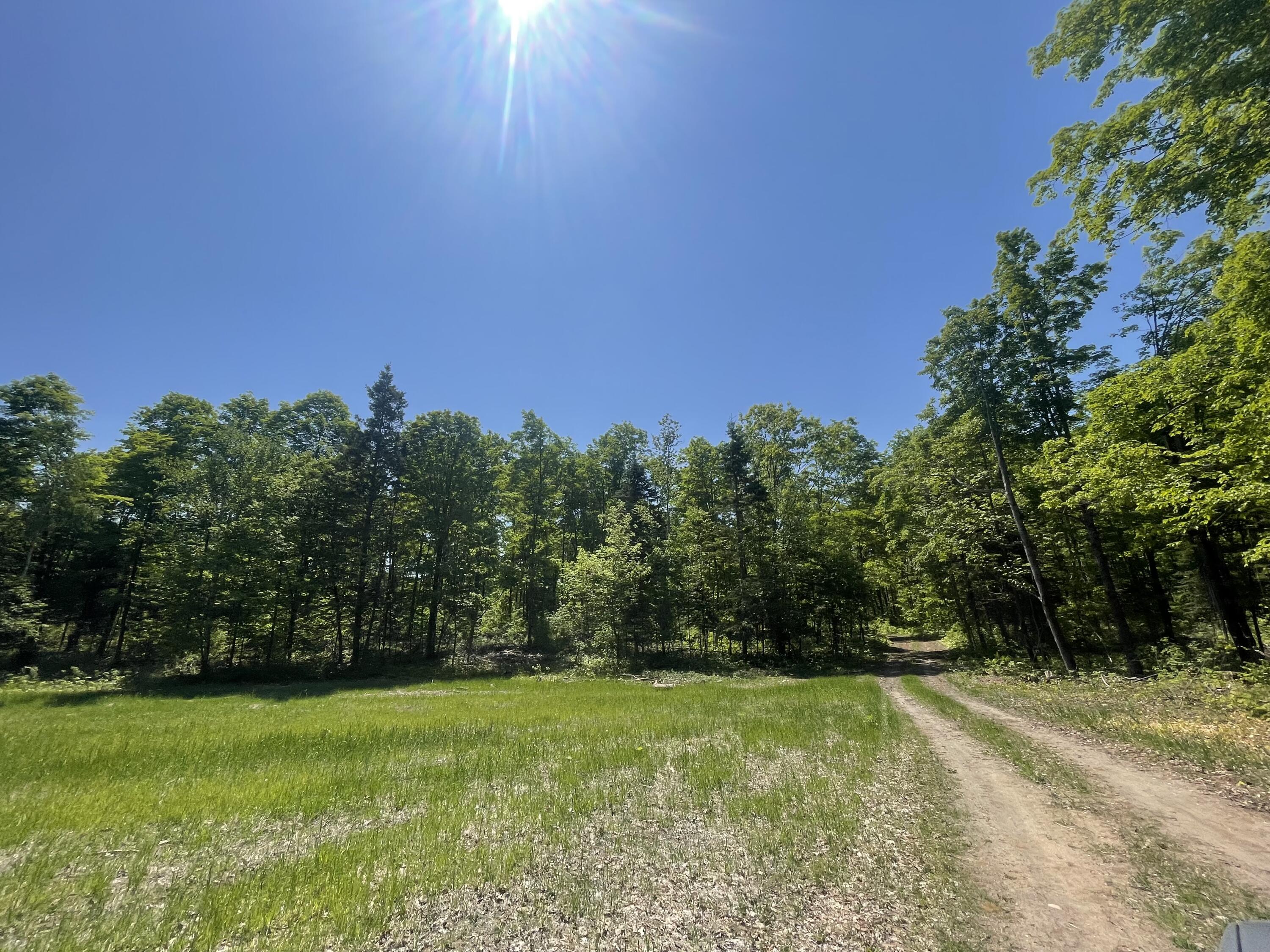 5716 East Simmons Road Hessel, MI 49745 - Photo 18 of 50 IMG_4903