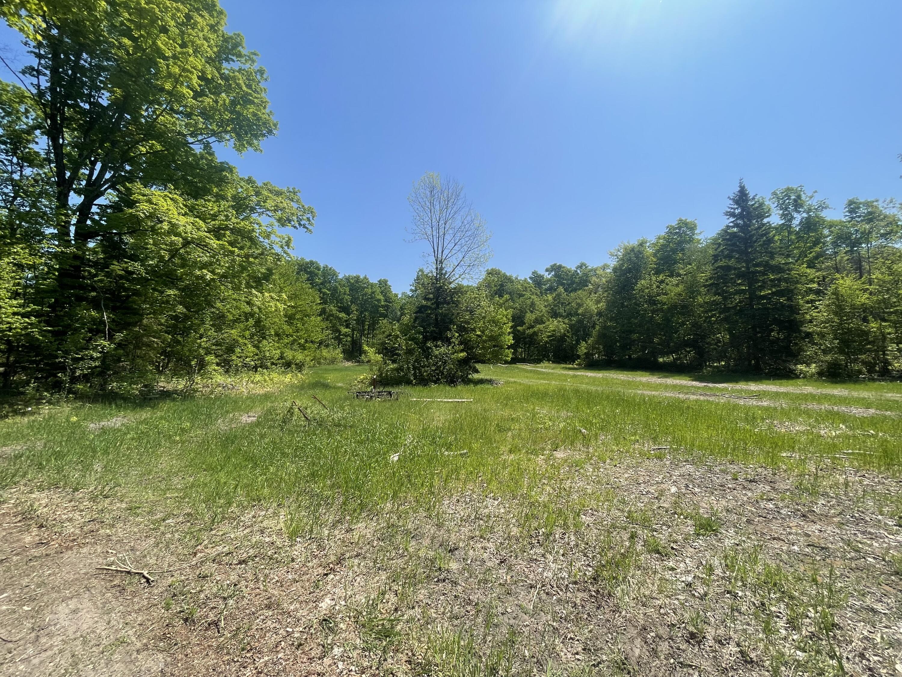 5716 East Simmons Road Hessel, MI 49745 - Photo 2 of 50 IMG_4873