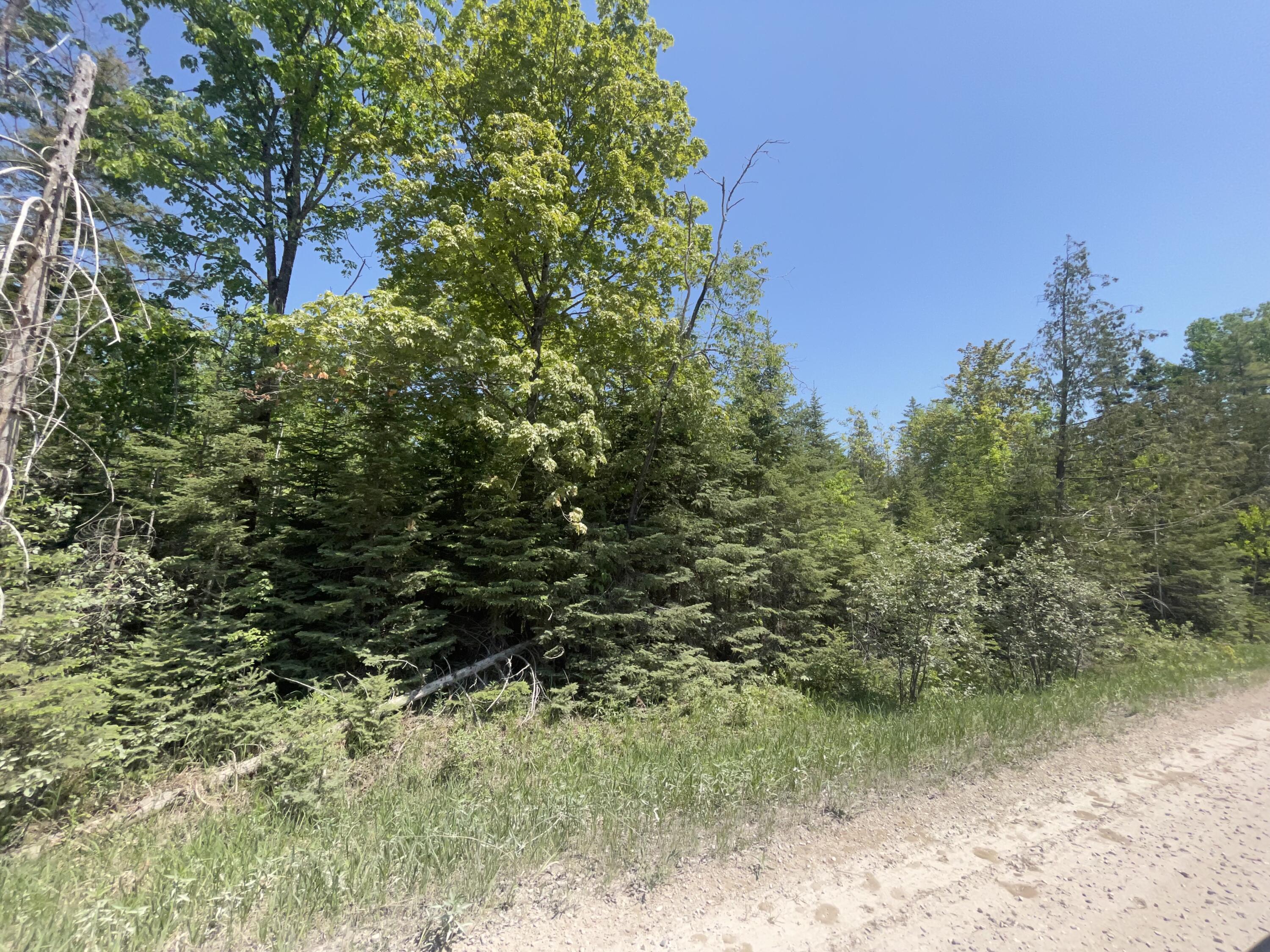 5716 East Simmons Road Hessel, MI 49745 - Photo 25 of 50 IMG_4925