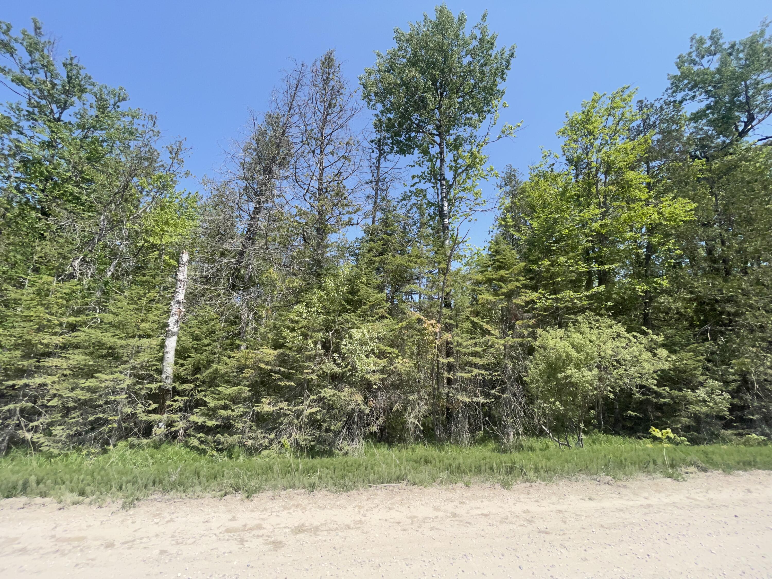 5716 East Simmons Road Hessel, MI 49745 - Photo 27 of 50 IMG_4937