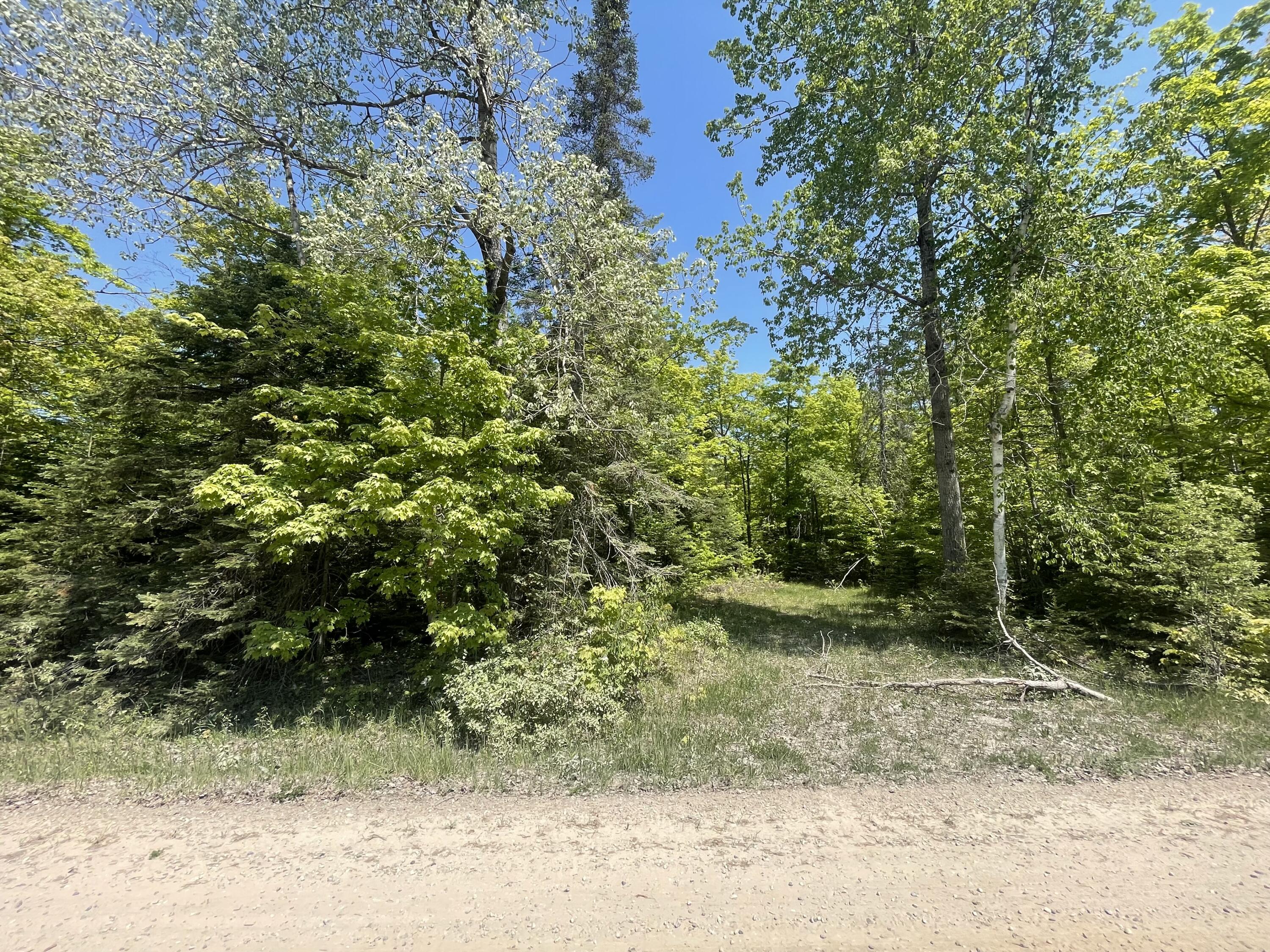 5716 East Simmons Road Hessel, MI 49745 - Photo 28 of 50 IMG_4941