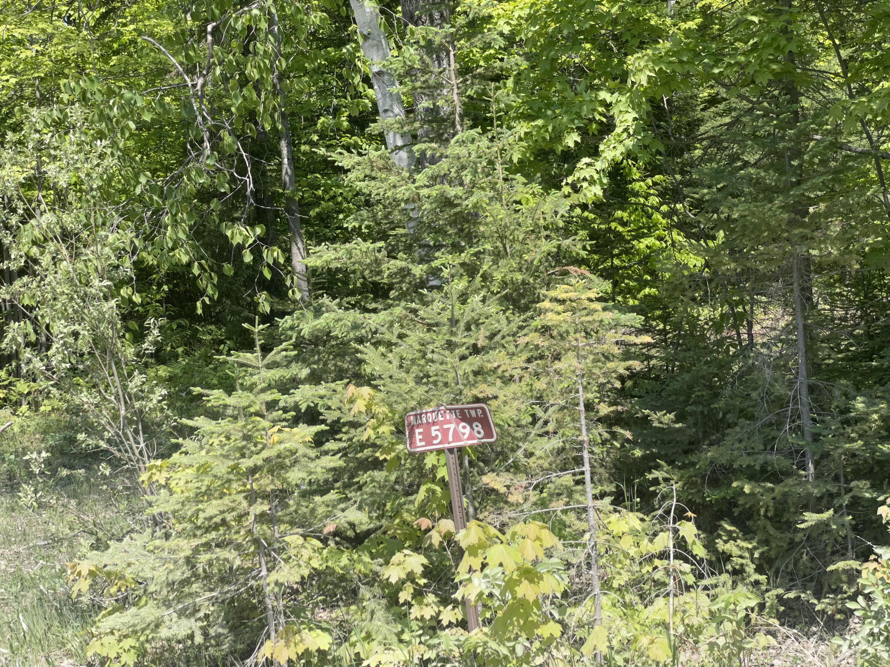 5716 East Simmons Road Hessel, MI 49745 - Photo 29 of 50 IMG_4942