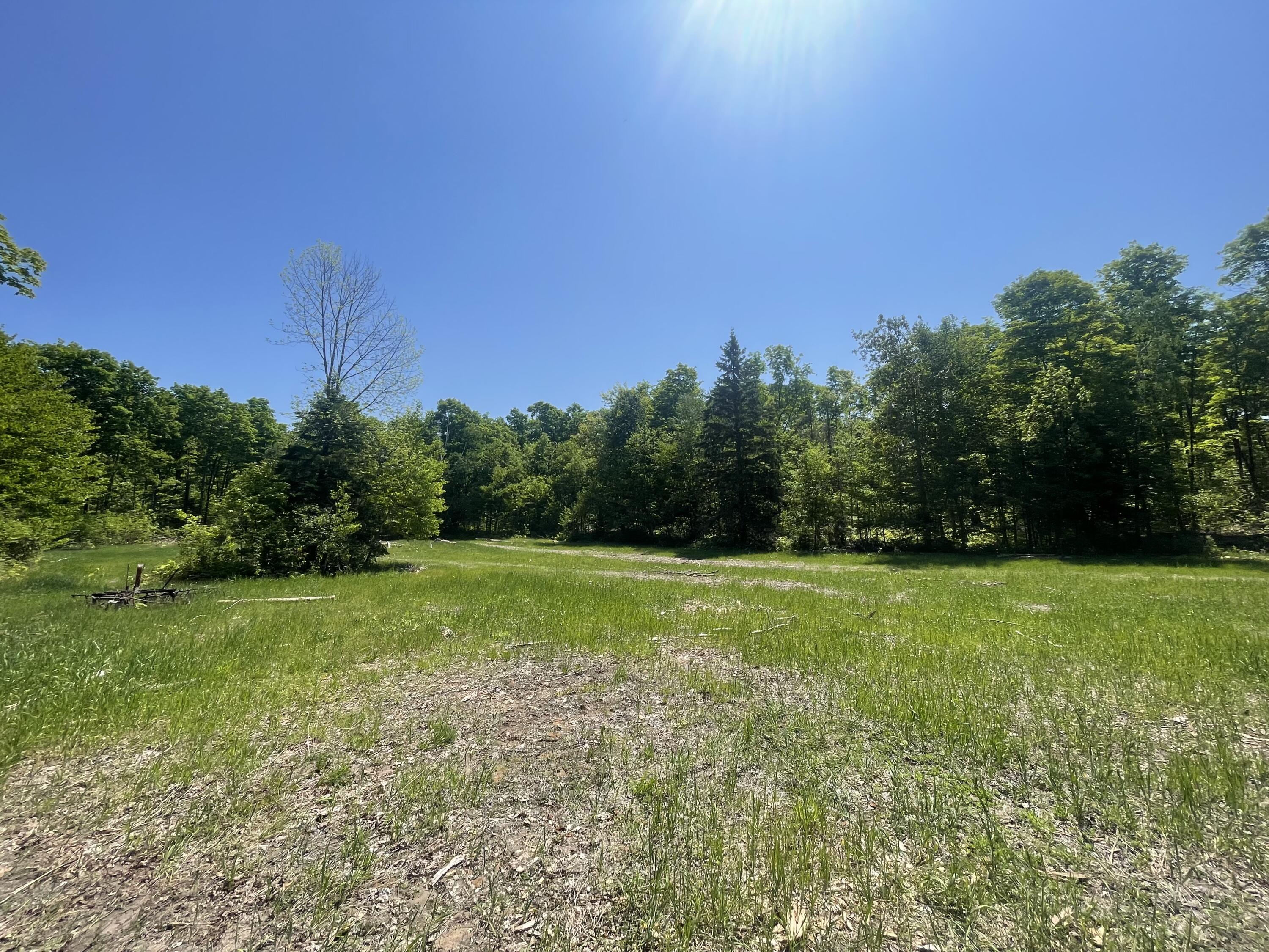 5716 East Simmons Road Hessel, MI 49745 - Photo 3 of 50 IMG_4874