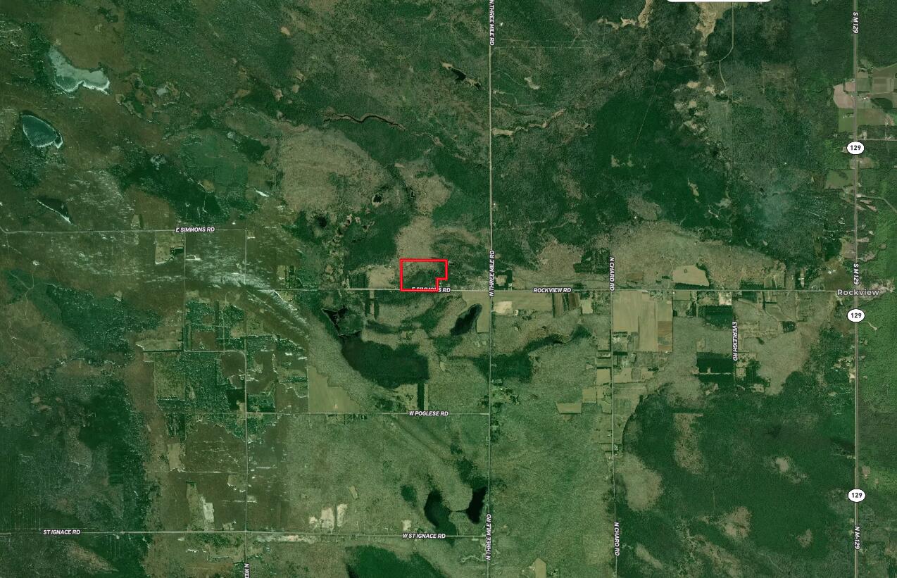5716 East Simmons Road Hessel, MI 49745 - Photo 33 of 50 Screenshot 2023-06-01 at 9.48.33 AM