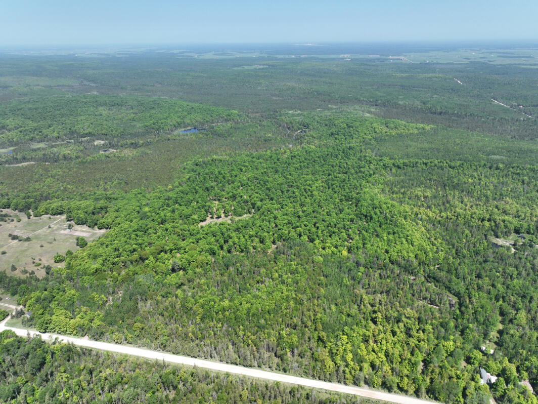 5716 East Simmons Road Hessel, MI 49745 - Photo 34 of 50 DJI_0253