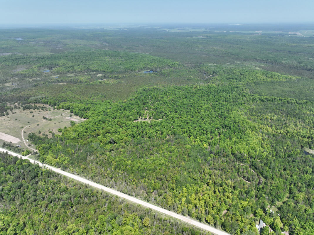 5716 East Simmons Road Hessel, MI 49745 - Photo 35 of 50 DJI_0256