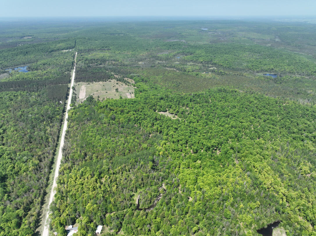 5716 East Simmons Road Hessel, MI 49745 - Photo 38 of 50 DJI_0267