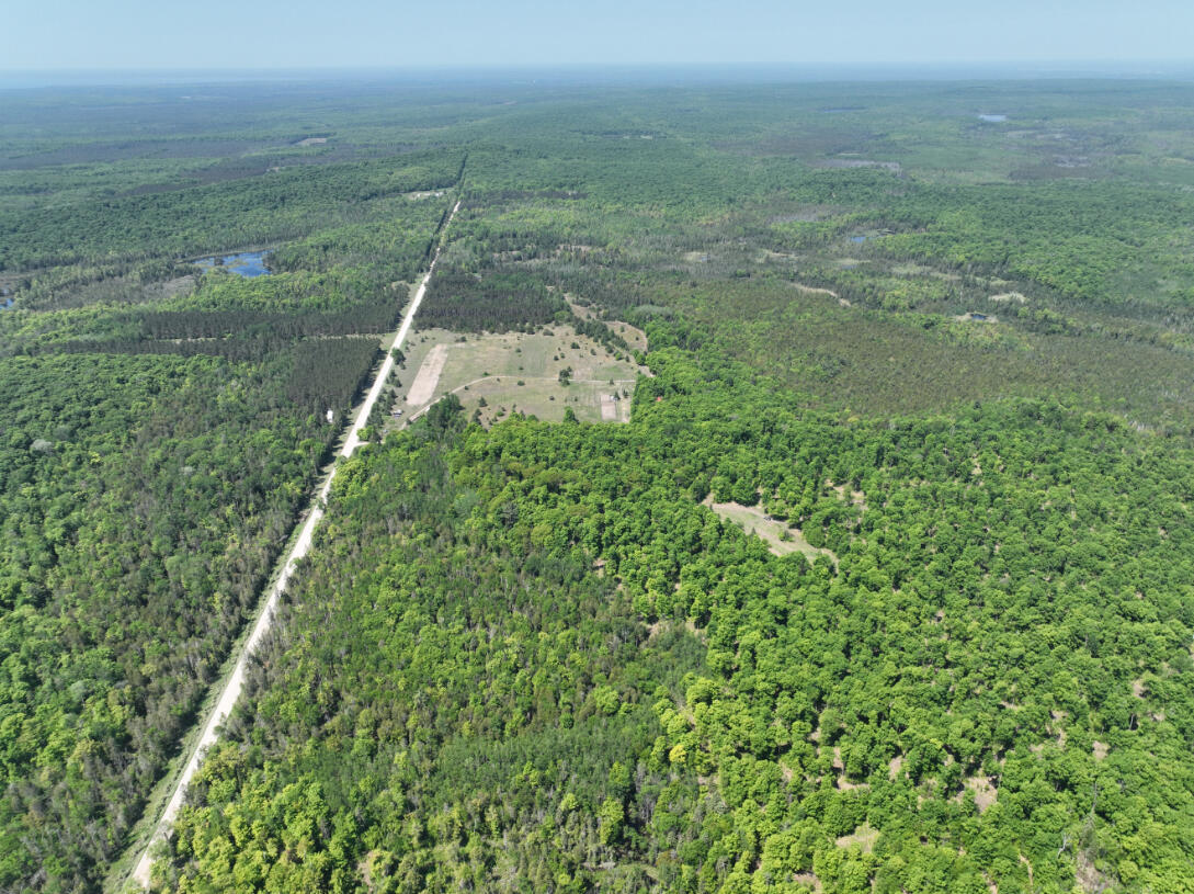 5716 East Simmons Road Hessel, MI 49745 - Photo 39 of 50 DJI_0271