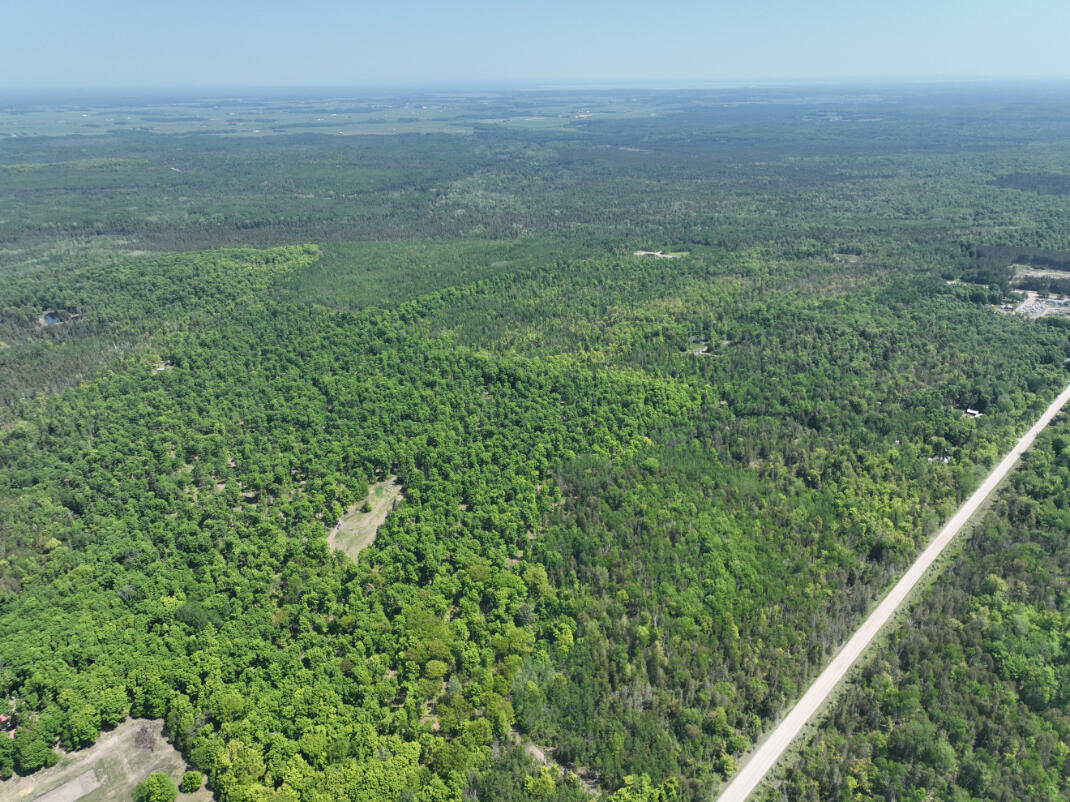 5716 East Simmons Road Hessel, MI 49745 - Photo 40 of 50 DJI_0277