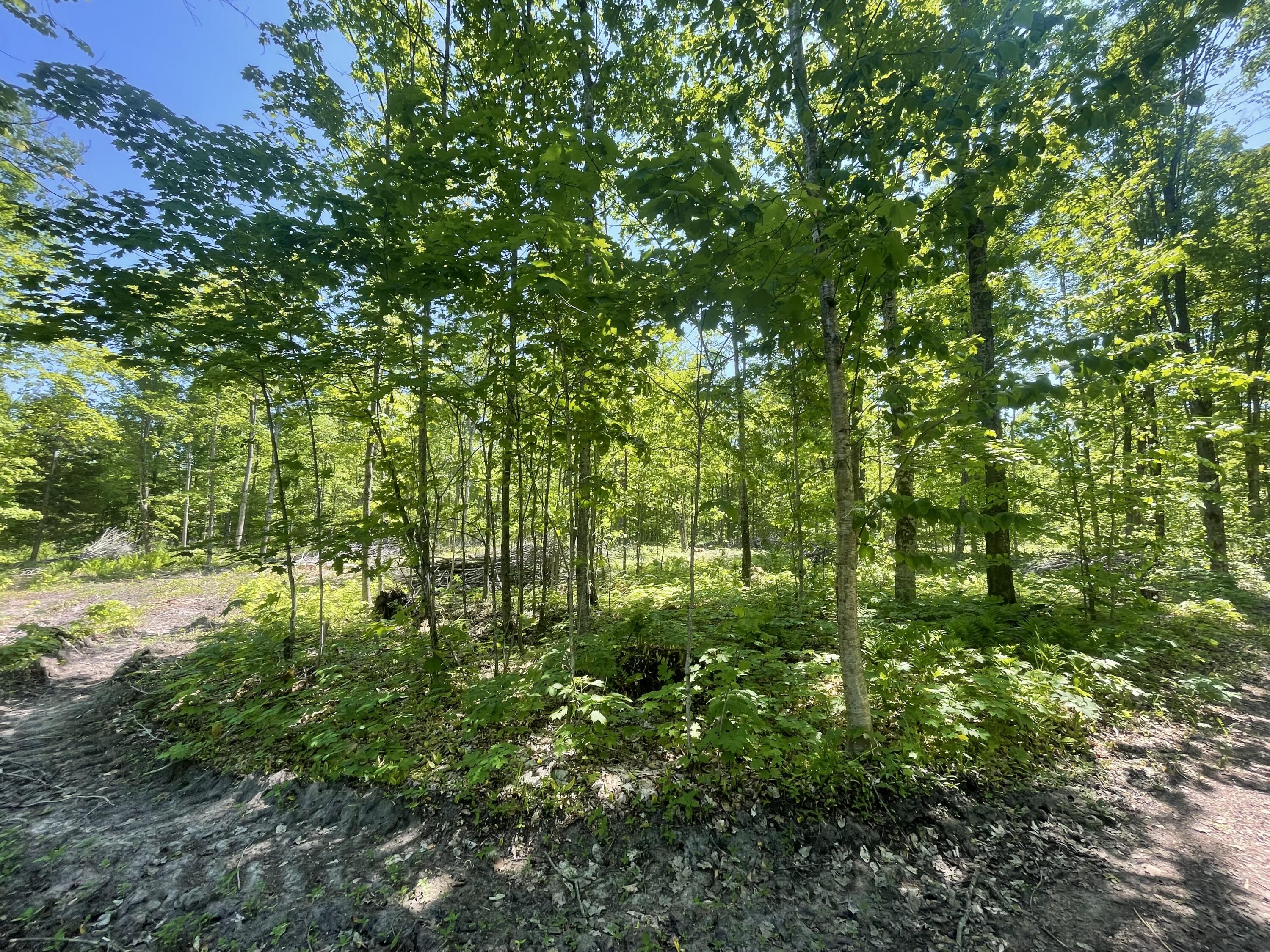 5716 East Simmons Road Hessel, MI 49745 - Photo 4 of 50 IMG_4878
