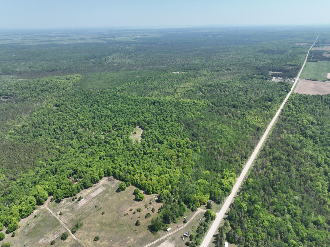 5716 East Simmons Road Hessel, MI 49745 - Photo 42 of 50 DJI_0283