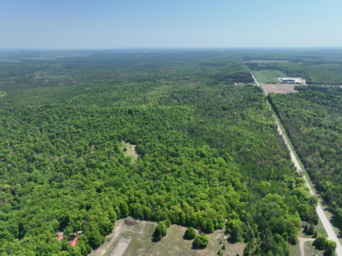 5716 East Simmons Road Hessel, MI 49745 - Photo 46 of 50 DJI_0288