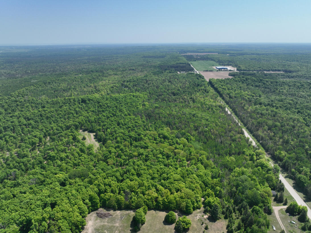 5716 East Simmons Road Hessel, MI 49745 - Photo 47 of 50 DJI_0289