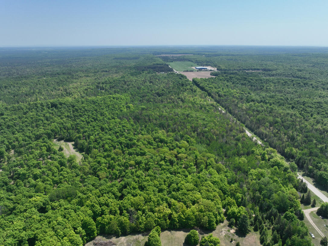 5716 East Simmons Road Hessel, MI 49745 - Photo 48 of 50 DJI_0290