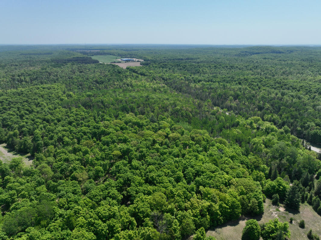 5716 East Simmons Road Hessel, MI 49745 - Photo 49 of 50 DJI_0292