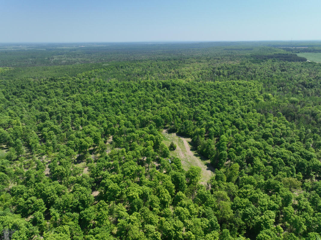 5716 East Simmons Road Hessel, MI 49745 - Photo 50 of 50 DJI_0293