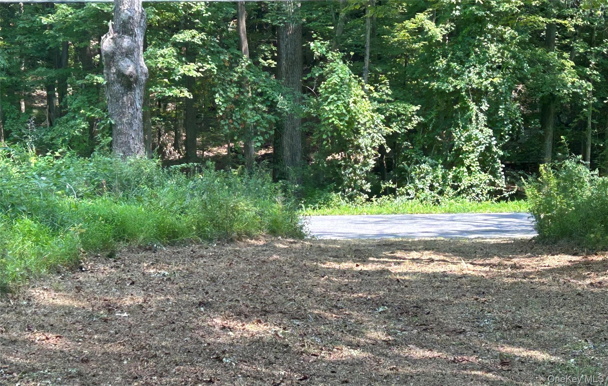 White Schoolhouse Road Rhinebeck, NY 12572 - Photo 11 of 13 a view of yard with trees