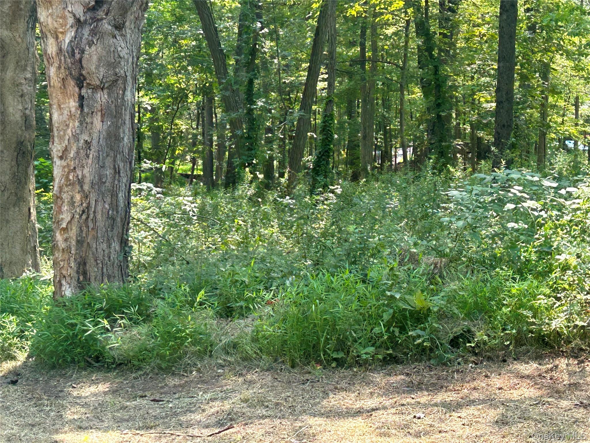 White Schoolhouse Road Rhinebeck, NY 12572 - Photo 12 of 13 a view of a garden