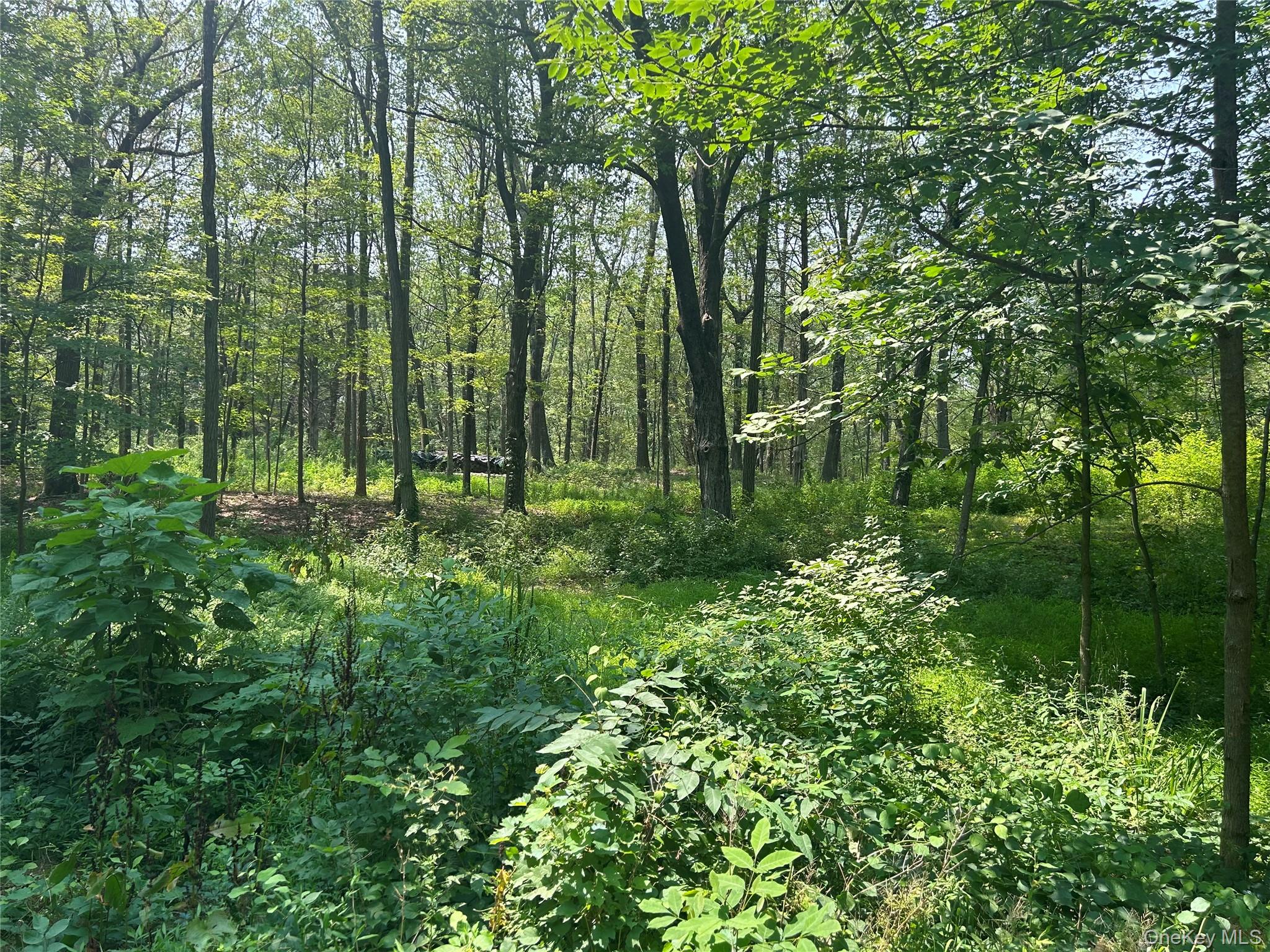 White Schoolhouse Road Rhinebeck, NY 12572 - Photo 2 of 13 a view of outdoor space and green space