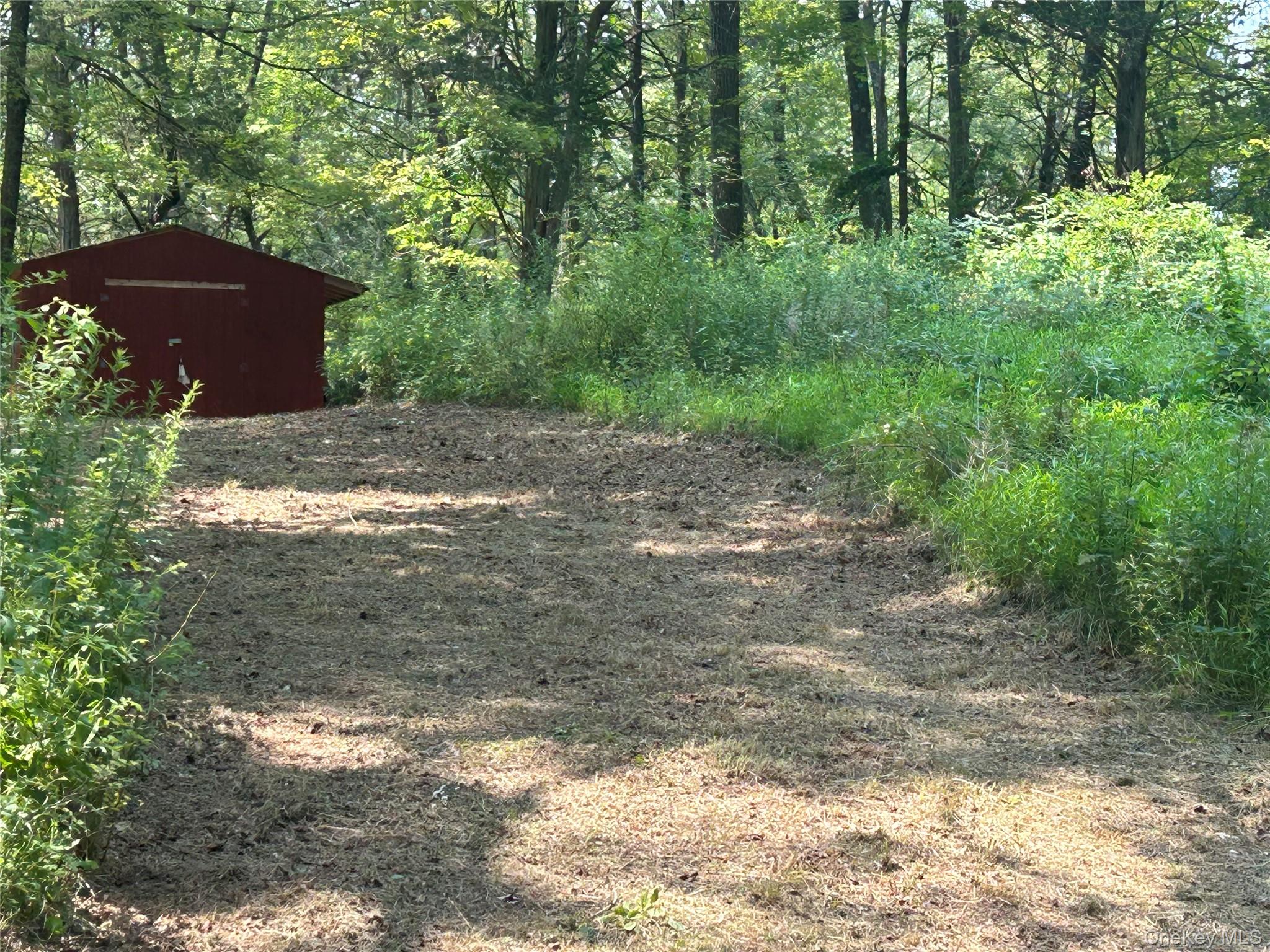 White Schoolhouse Road Rhinebeck, NY 12572 - Photo 3 of 13 a view of a yard with plants and a trees