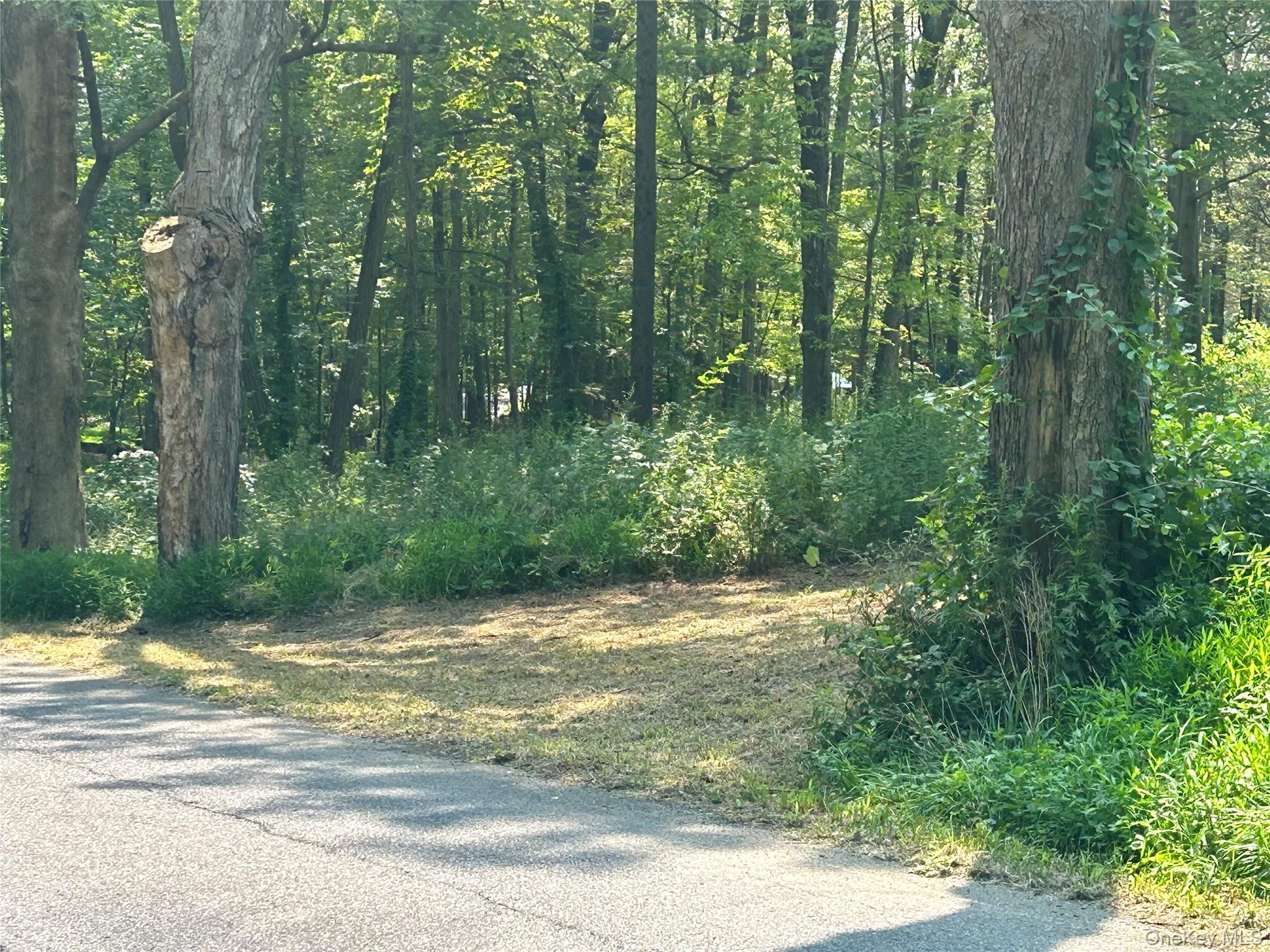 White Schoolhouse Road Rhinebeck, NY 12572 - Photo 5 of 13 a view of a yard with a trees