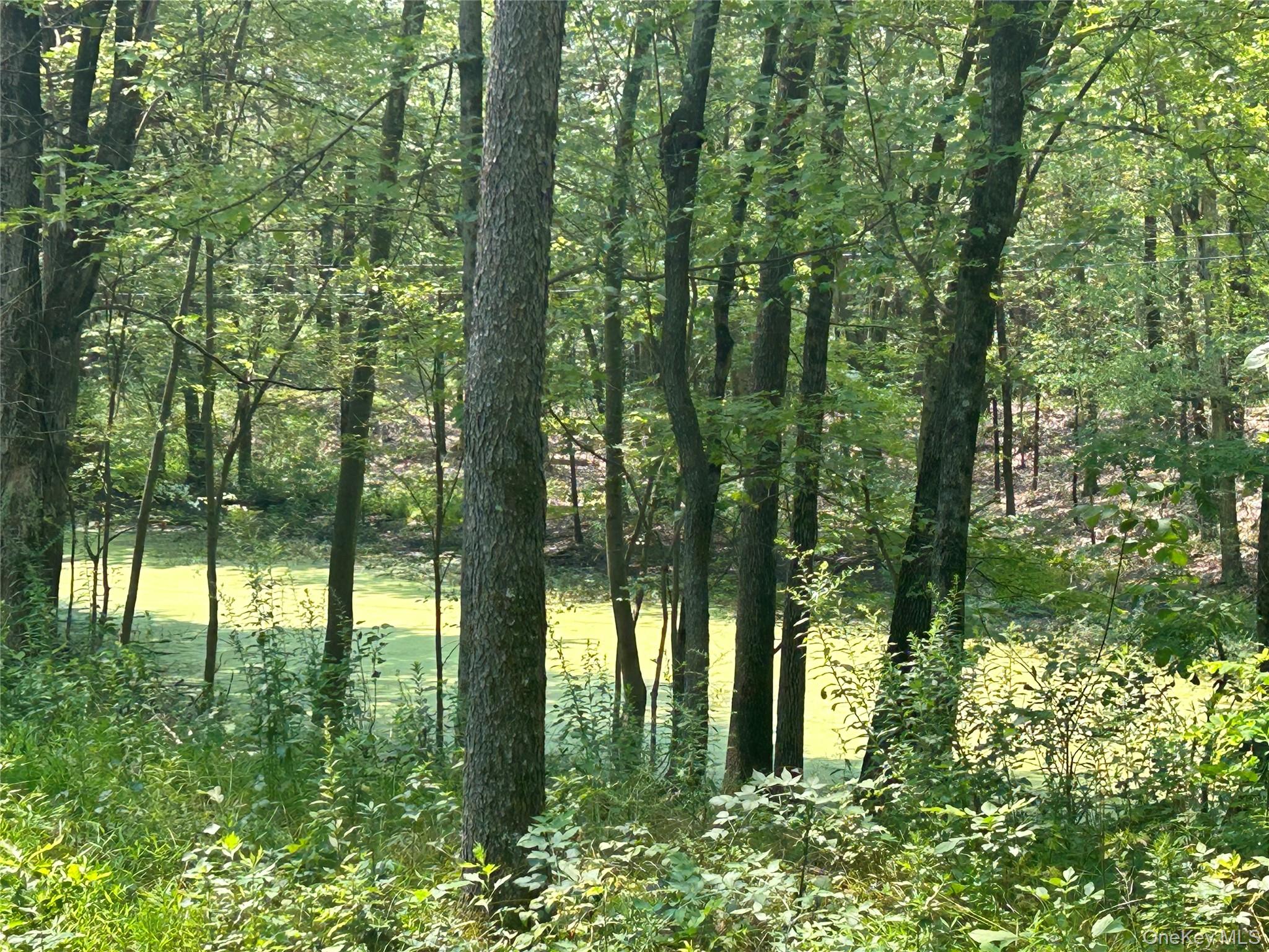 White Schoolhouse Road Rhinebeck, NY 12572 - Photo 9 of 13 a view of lake from balcony